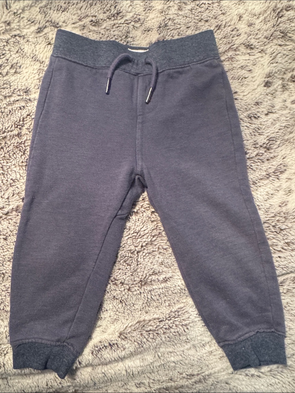 Hudson  Cozy Drawstring Jogger Pants - Heather Navy